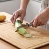4 In 1 Stainless Steel Peeler, Multifunctional Vegetable Fruit Cutter, Potato Apples Carrot Peeler with Bottle Opener And Scaler