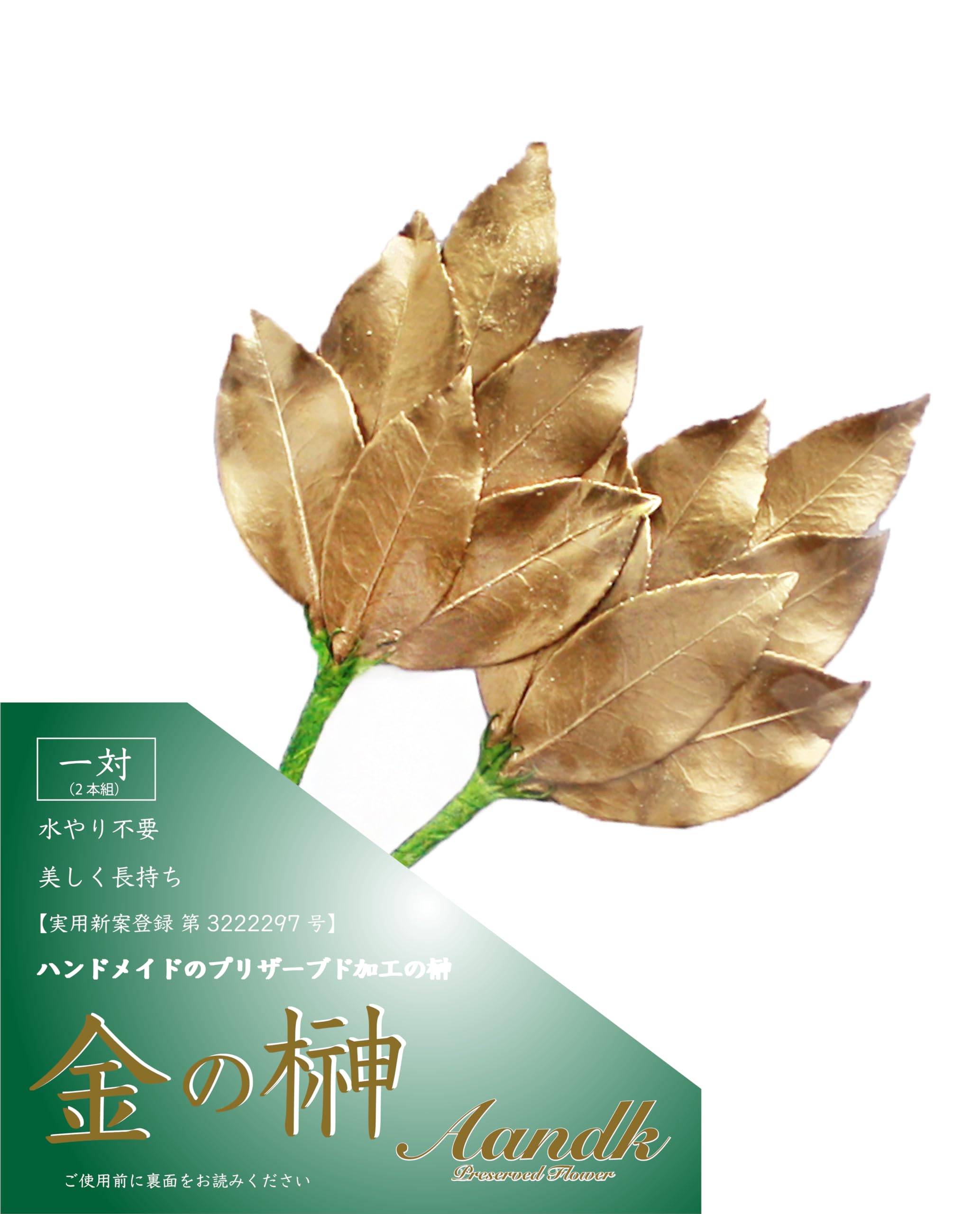 

[A&K] Golden Sakaki Mini SS [Fresh Leaves] Preserved Sakaki (Made with Japanese Camellia Sasanqua Leaves) Brings Good Fortune, Good Luck, and