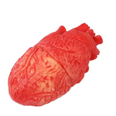 D5 1PC Halloween Horrible Bloody Severed Horror Scary Human Heart Lifesize Scary Fake Rubber Gory Body Part Halloween Decoration