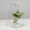 Transparent Acrylic Flower Box Reusable Hand Bag Bouquet Wrapping Bag Portable Packing Material Flower Bag Valentine Day