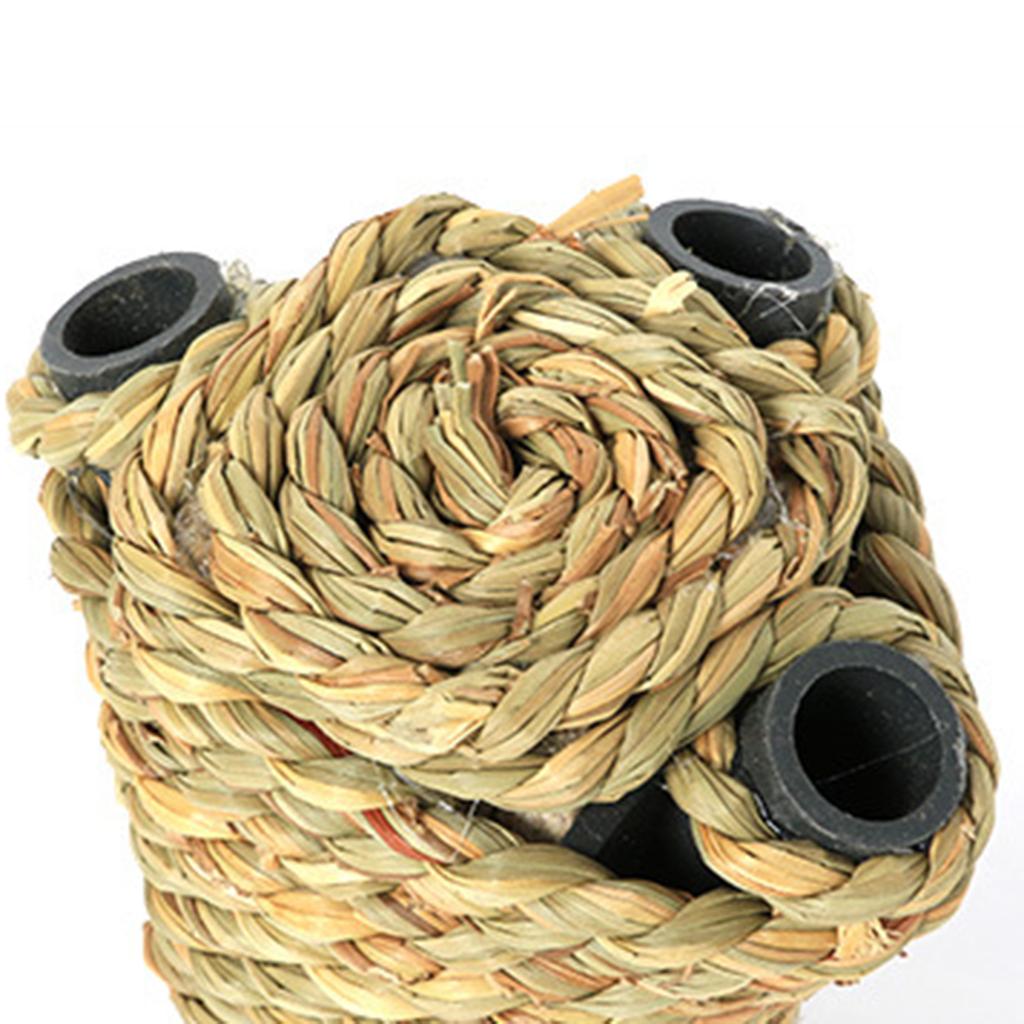 Pet Supplies Cat Toys Fun Chewable Carrot Toys Fun Cat Standing Cat Jump Table