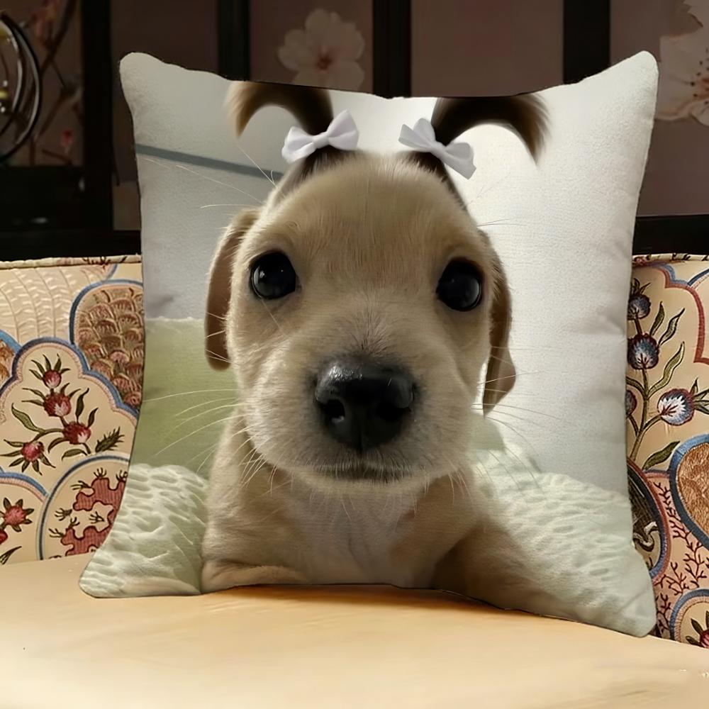 Dog Funny MEME Pillow Case Pillowcase Doublesided Printed Sofa Cushion Bedroom Headboard Pillow
