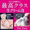 Biore Face Foaming Cleanser Smooth Clear RefillFoaming CleanserFriction-FreePoresDark Spots