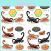 Realistic Scorpion Life Cycle Model Set Of Four Detailed Pvc Insect Figurines