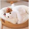 Real Cat Plush Pillow Knee Cat Hugging Pillow Cat Cute Healing Cat Toy Cat Goods Cat Goods Animal Gift Kids Birthday Christmas Birthday Present Gift