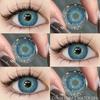 1 Pair New Colored Fashion Lenses Brown Eye Color Lenses Colored Pupils for Eyes Blue Lenses Yearly Gray Color Eye Lens
