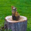 Cute Resin Squirrel Sculpture Designed to Bring Joy to Your Garden Atmosphere
