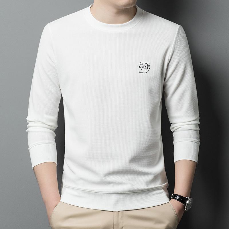 Spring and Autumn New Men's Round Neck T-Shirts for Young and Middle-aged Casual Trendy Sweaters Bottoming Shirts