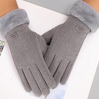 Damen Winter Touchscreen Handschuhe – Dickes Samt, Warm, Koreanischer Stil für Radfahren und Kälteschutz
