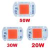 COB LED Chip Grow Light Full Spectrum AC 110V 220V No Need Driver Phyto Lamp For Indoor Plant Light Seedling Grow Lamp Source