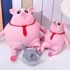 Cute Squeeze Pink Pig Toy Stress Relief Toy Decompression Soft Sensory Slow Rebound Pink Animals Vent Toys Gifts for Girls Boys