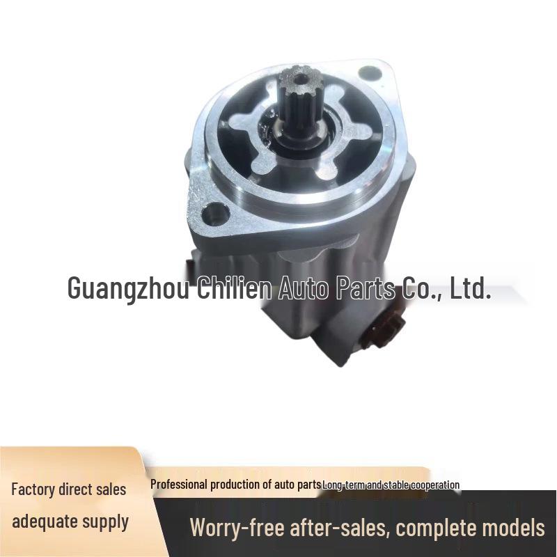 Volvo Truck Power Steering Pump 3187858 8081009 542021210