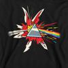 Pink Floyd Childrens/Kids Dark Side Of The Moon Immersion Pop Art Hoodie