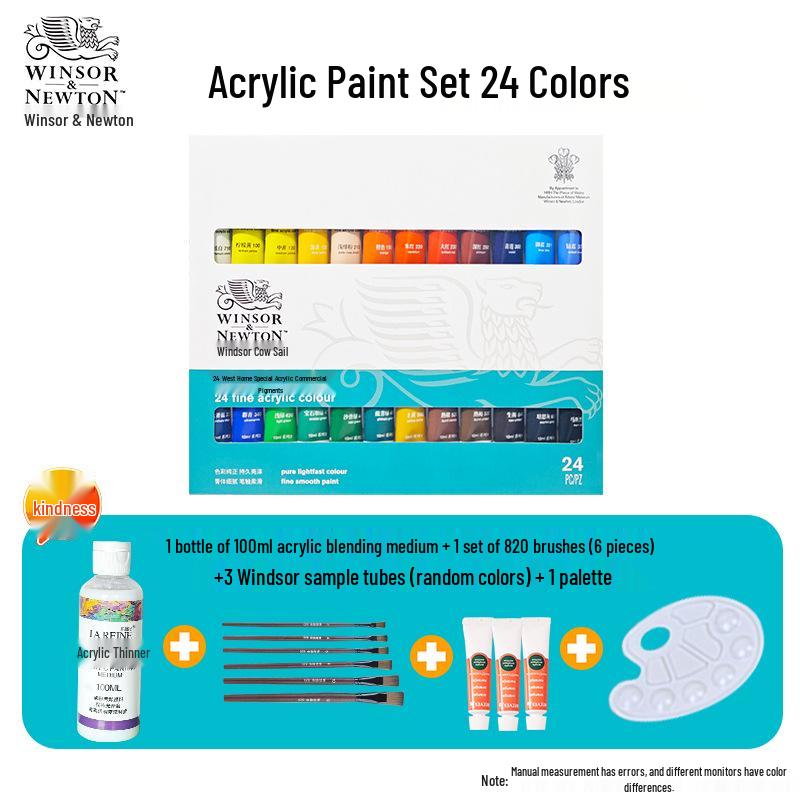Winsor & Newton 12-Color Waterproof Acrylic Paint Set for DIY Stone, Textile & Wall Painting