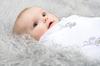 Aden + Anais Jungle Jam Muslin Swaddles (2-Pack, 4023)
