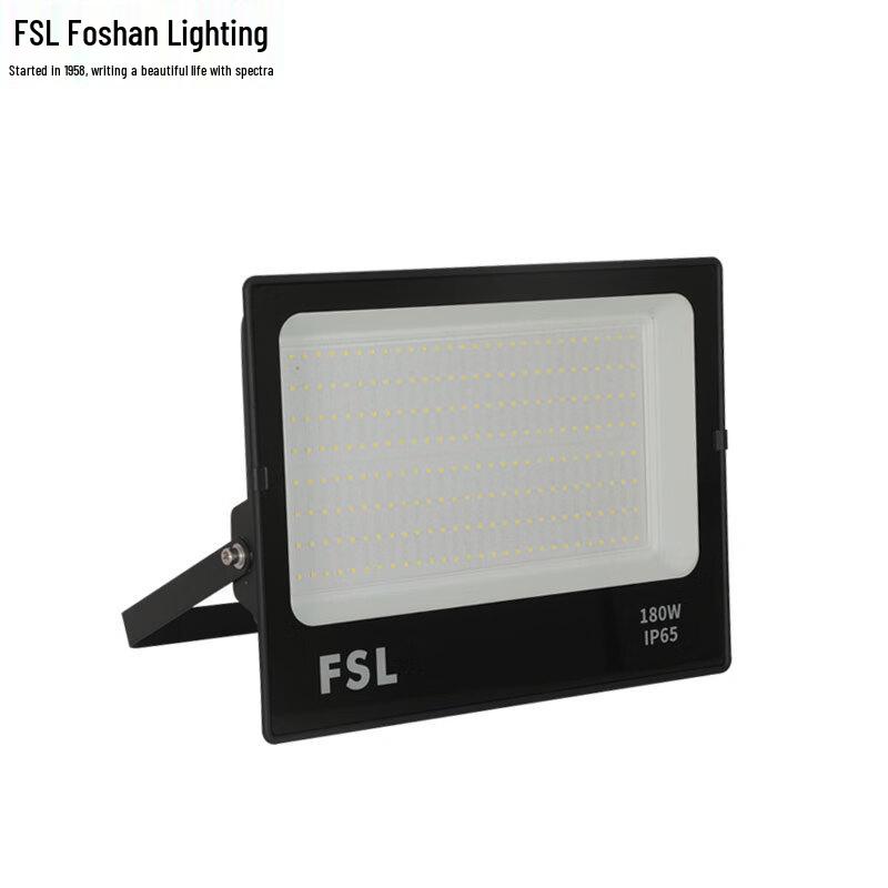 FSL Outdoor High-Power LED Floodlight