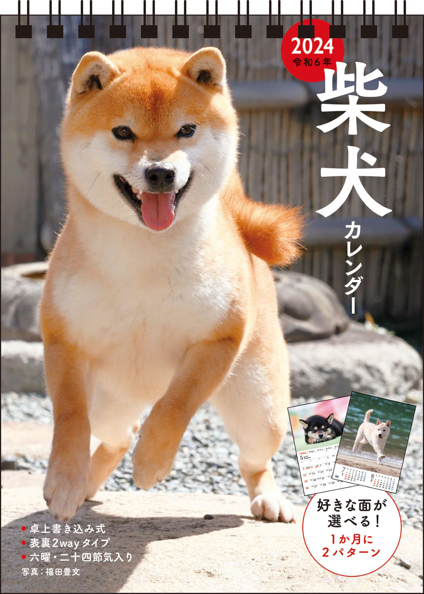 

2024 Shiba Inu Shoten [S3] Calendar, Desk-top, Writing-in Style, [B6 Portrait] (Nagaoka Calendar)
