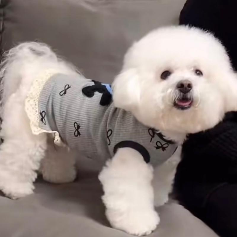Pet puppy dog clothes anti-hair loss spring and autumn thin Pomeranian bear teddy Yorkshire small dog splicing vest