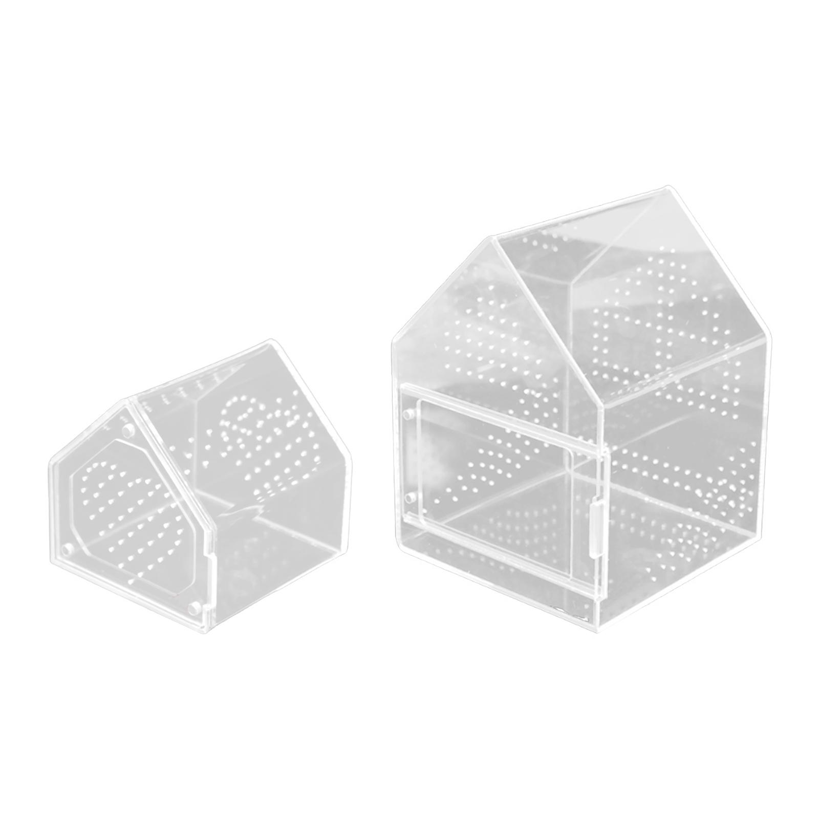 Jumping spider enclosure, microhabitat, habitat terrarium, mantis breeding box 12cmx12cmx12cm