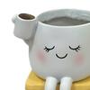 DYS Rocking Chair Plant Pot, Cute Smiling Face Planter, Resin Flowerpot with Drainage Hole for Succulents Indoor Plants