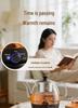 Jin Zao A-16 Golden 1L Tea Brewer & Health Pot with Spray Steam Function