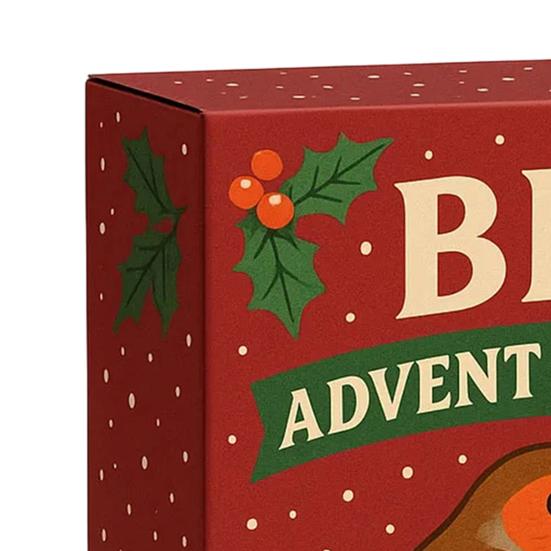 Yousheng Bird Advent Calendar 2025 24 Days Christmas Countdown with Acrylic 2D Bird Hanging Decorations Holiday Gift for Bird Lovers