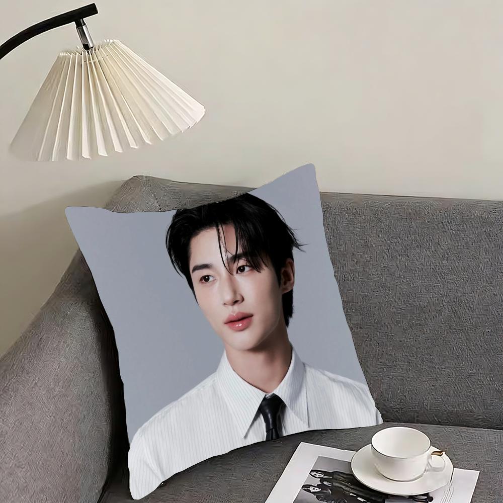 Byeon Woo-seok Cushion Cover Reversible Plush Pillow Cover – For car, sofa, bedroom, perfect as a gift.