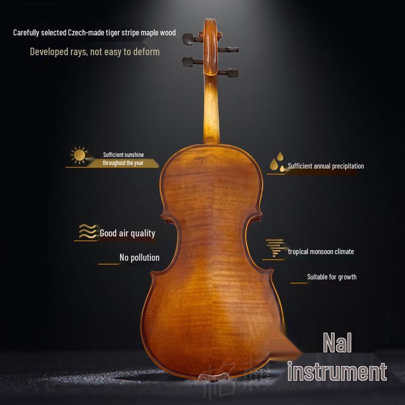 Grinna 003 Beginner Solid Wood Matte Violin