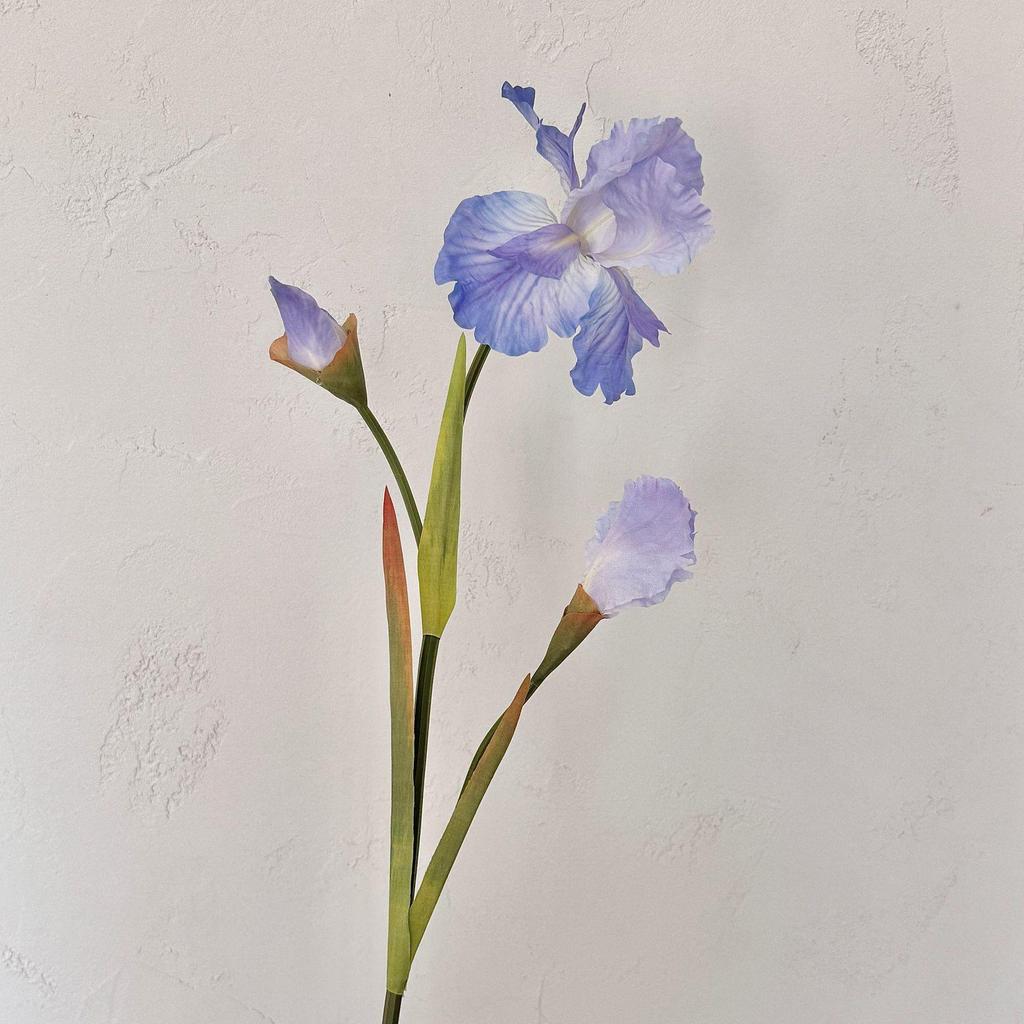 Alice Iris Artificial Flowers - Nordic Style Home & Hotel Decor, Soft Arrangement for Photography Background