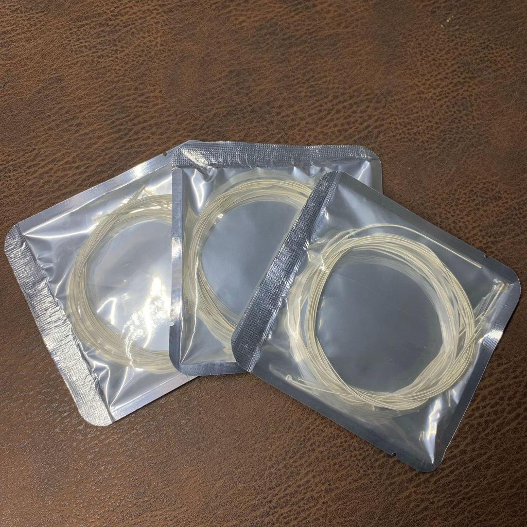 Classical Nylon Guitar Strings in Foil Bags with Cases