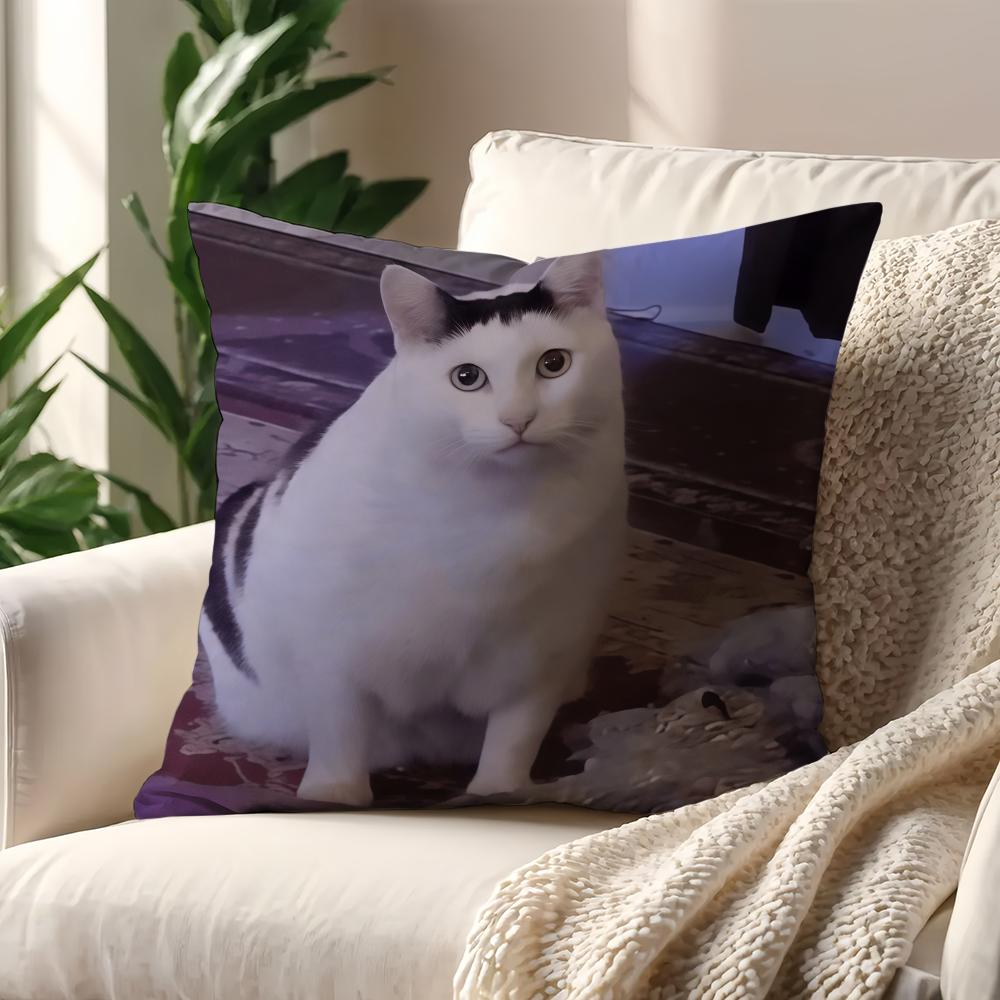 Funny Cat Memes cushion cover For Pillow Printing Sofa Decoration Home Car Room Coffee Shop Office Nordic Simplicity