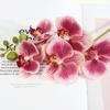 Flores de Orquídeas Artificiales Real Touch Flores Artificiales de Seda Falsa Flor Phalaenopsis Artificial con 5 Cabezas Florales para Decoración Interior del Hogar Mesa de Oficina