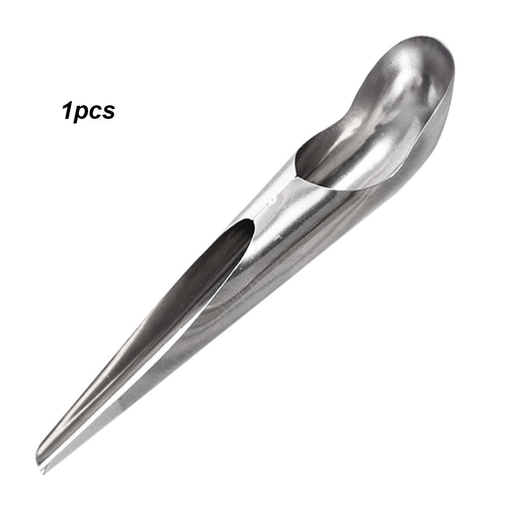 3Pcs Stainless Steel Feeding Tool Feeding Bird Supplies Pet Bird Food Spoon Bird Cage Bird Spoon