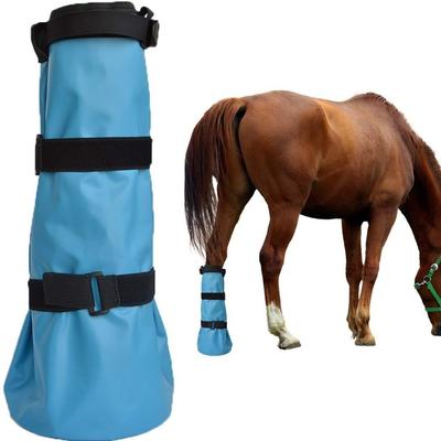 Paardensport – Verzorgingsproducten voor paarden