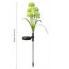 Solar Powered LED Dandelion and Onion Ball Lights Are Suitable for Garden Terrace Lawn Decoration Floor Mounted Ambient Lighting