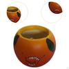 Fruit Vase Decorative Jar Flower Planter Pot for Farmhouse Living Room Baby Shower