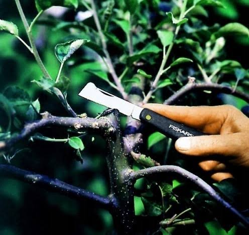 Knife for grafting budding plants