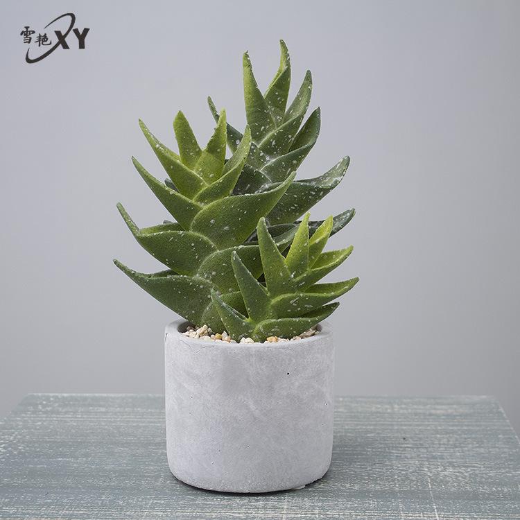 Simulated Cactus Fleshy Potted Office Decoration Fake Cactus Cement Retro Small Bonsai