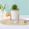 Auto-rear Planter of Hydroponic Pot, Table Centerpiece, Garden Flower Small for