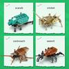 Mini Insect Series Building Block Grasshopper Unicorn Scarab Cute Little Animal Assembly Bricks Toys Children's Chritstmas Gift