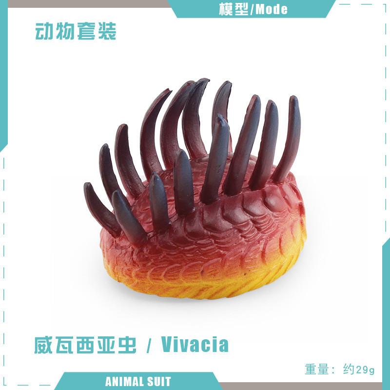 Realistic Ancient Marine Creature Model Collection Featuring Cambrian Anomalocaridids And More