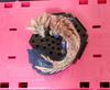 [USED] Monster Hunter figure: Nushitama Mitsune