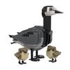 MOC Animal Bird Raven Kingfisher Feral Pigeon Model Building Blocks Set Robin Eagle Assembly Bricks Toys Birthday Xmas Gifts