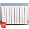 Lixian Decorative Radiator