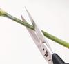KAI Corporation Seki Magoroku Flower Cutting Scissors, Black, Approx. 18.7cm (W) X 9cm (D) X 1.3cm (H), 217001, Made In Japan