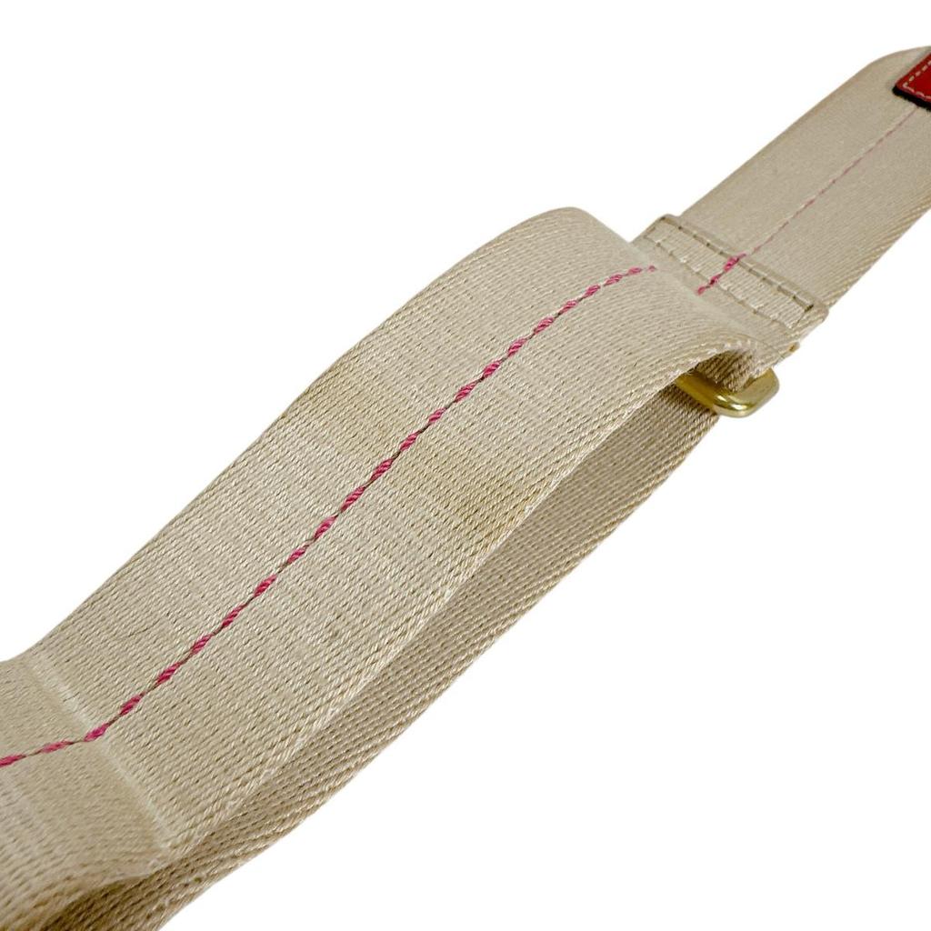 Coach Mini Shoulder Cross Body Sling Bag Shoulder Bag Leather Beige Women 11355 Used