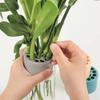 1 Pc Spiral Stem Holder For Vase Flower Arrangement Spiral Ikebana Stem Holder Spiral Flower Stem Holder Bouquet Floral Arranger