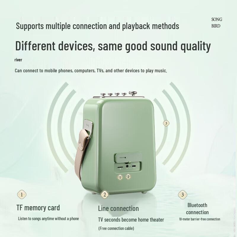 Dianyin Karaoke Bluetooth Speaker Set with Dual Mics CN Plug (adapter Included)