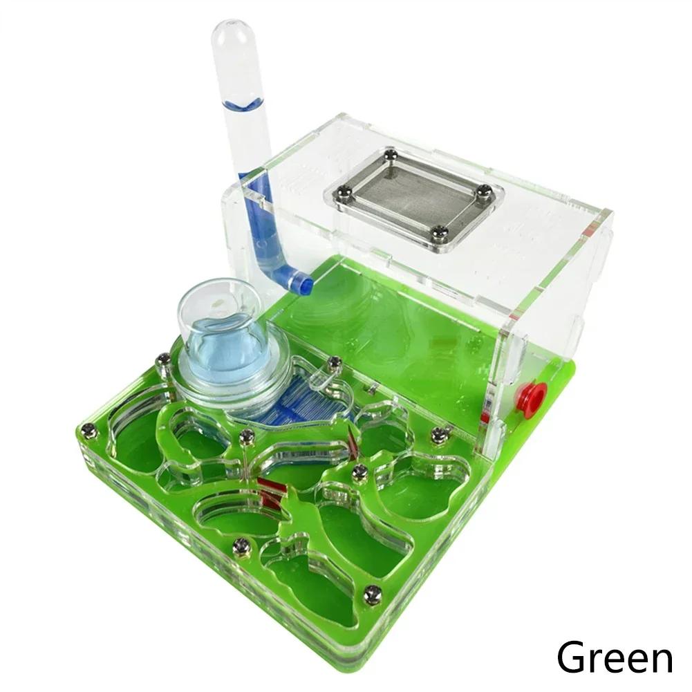 DIY Acryl Flat 3D Ant Farm Ant Nest with Feeding Area Ant House Insect Villa Pet Anthill Workshop with Moisturizing Water Tower