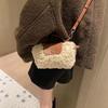 Lamb Wool Messenger Bag Women, New Autumn and Winter Versatile High-end Texture Niche Single Shoulder Portable Wool Bag